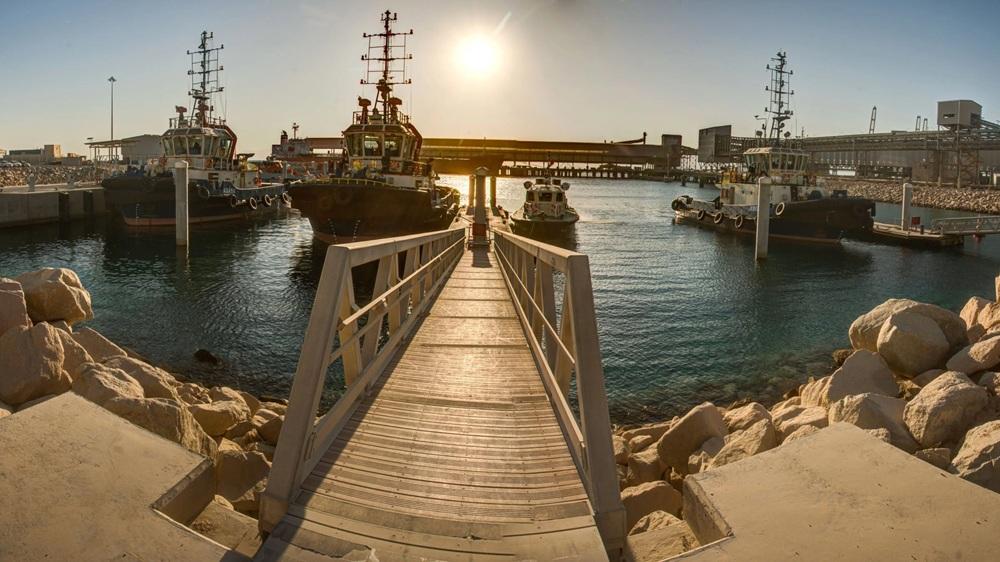 إدراج محمية العقبة البحرية على قائمة التراث العالمي يعزز مكانة الأردن البحرية عالميًا