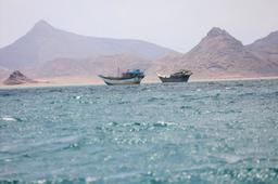 Yemen Says Houthis Seek to Mirror Iran’s Hormuz Tactics in Red Sea