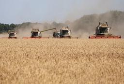 Ukraine’s Alternative Grain Routes to Reach Full Capacity by Late August