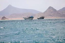 Saudi Arabia Announces Plans for a Multinational Maritime Defence Coalition