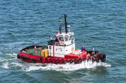 Salvage Convention Marks 30 Years of Impact